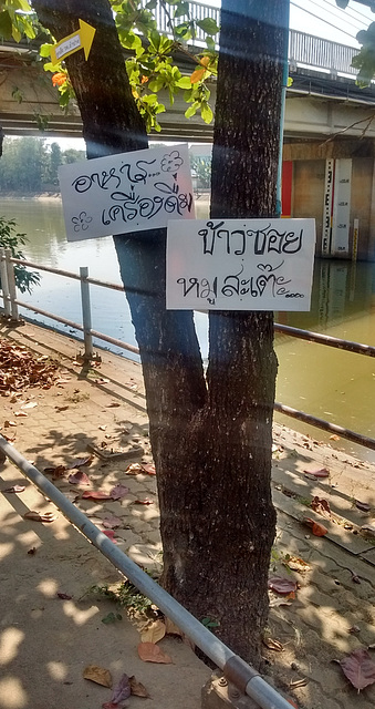 Deux affiches insolites