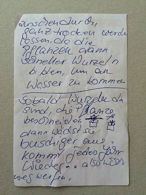 Einkauf 2015 40