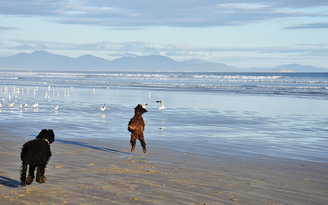 autumn at the beach