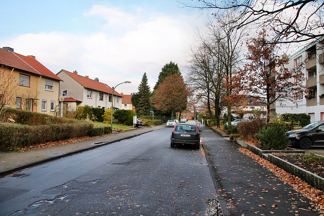 Märkische Straße (Kamen-Heeren-Werve) / 25.11.2017