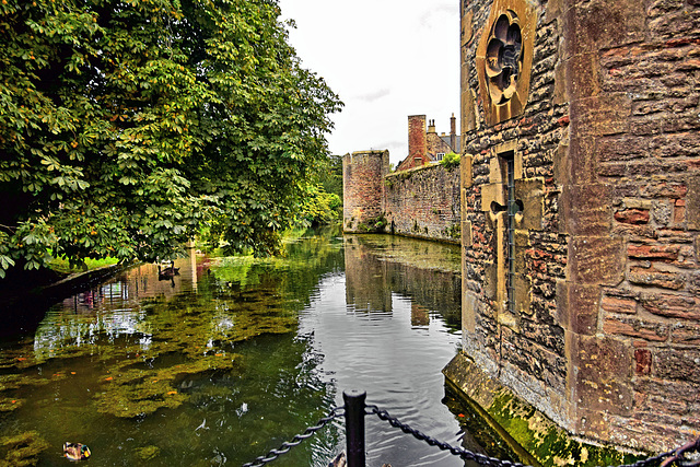 The Bishop's Palace Moat ~ Wells.