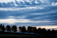 Last light at Butcher's Piece