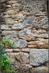 Strukturensammlung an einer Mauer