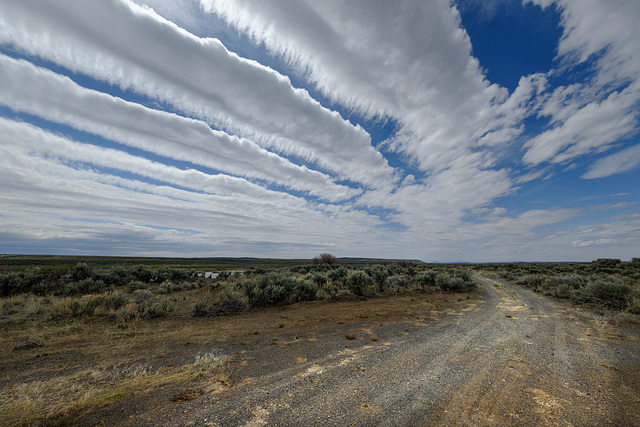 Sagebrush Steppe meet the Sky