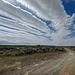 Sagebrush Steppe meet the Sky