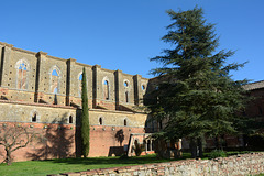 Italy, Wall and Windows of the Abbey of San Galgano