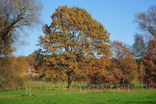 Spaziergang an der Rhume
