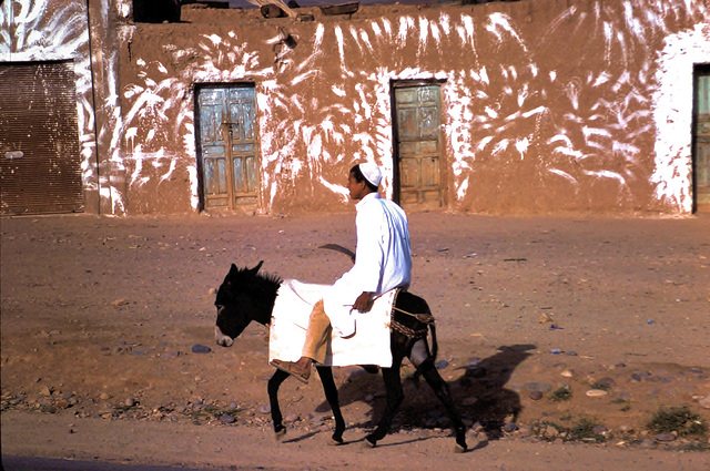 Sud marocain (MA) Avril 1979. (Diapositive numérisée).