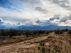 The Huachuca Mountains