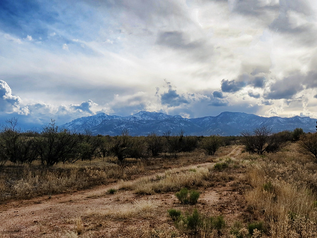 The Huachuca Mountains