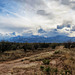 The Huachuca Mountains