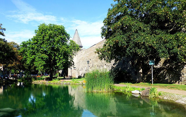 DE - Andernach - Stadtgraben