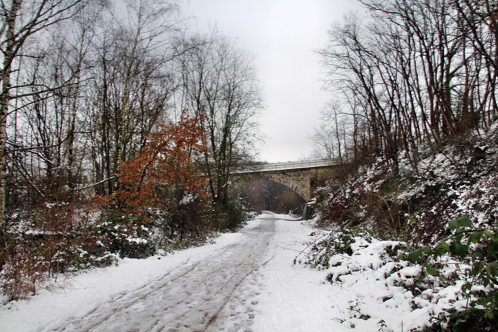 Die Glückauf-Trasse am ehemaligen Bahnhof Bredenscheid (Hattingen) / 24.01.2021