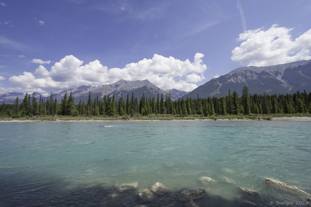 am Kootenay River (© Buelipix)