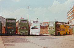 Eastern National buses parked at Colchester – 17 August 1989 (95-9)