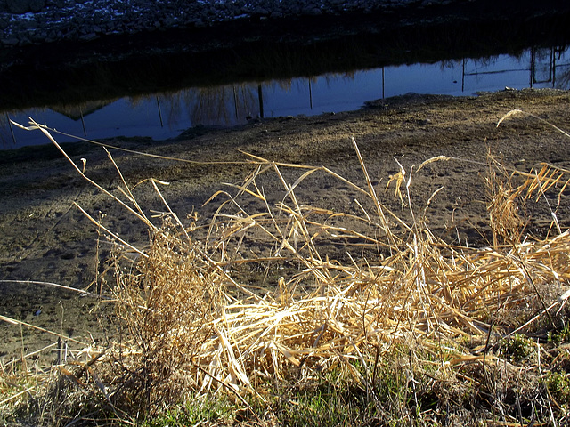 Canal, winter level