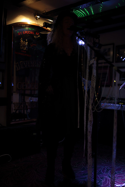EOS 6D Peter Harriman 21 05 25 08582 StevieNicks unproc