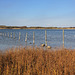 Kenfig Pool