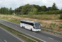 Whippet Coaches (National Express contractor) NX19 (BL17 XAX) on the A11 at Red Lodge - 14 Jul 2019 (P1030130)