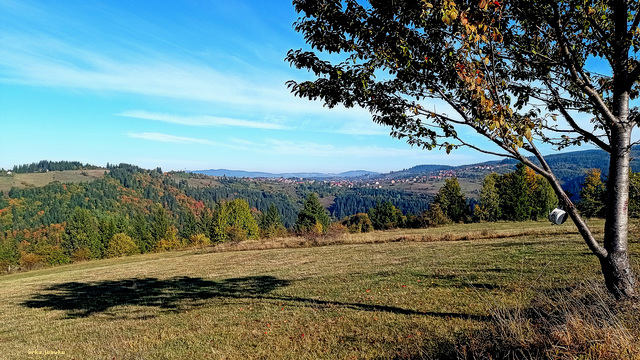 Four panoramas of my place from afar, with a forgotten pot and lumberjacks