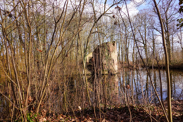 Ruïne van het kasteel Brakel