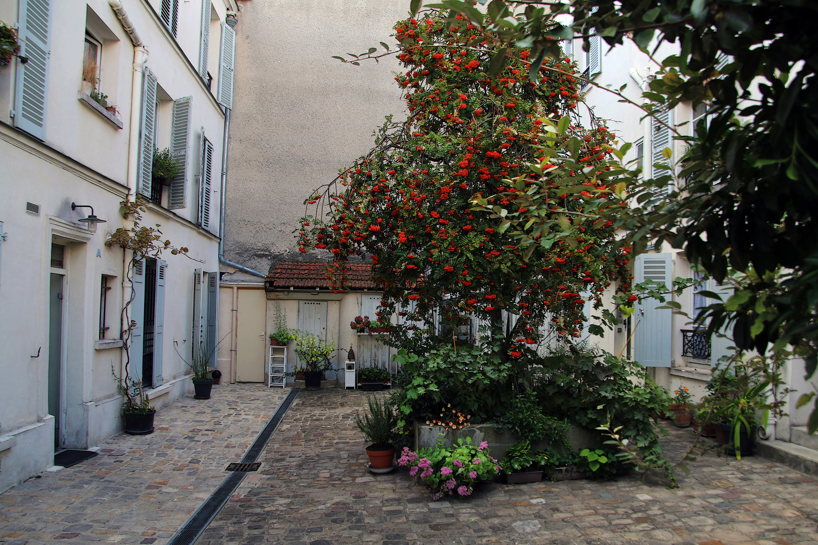 La végétation est reine dans cette cour intérieure .