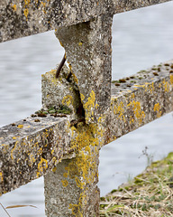 HFF à tous