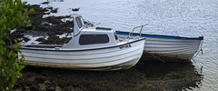 'Spyuck' (Anamorphic Lens)