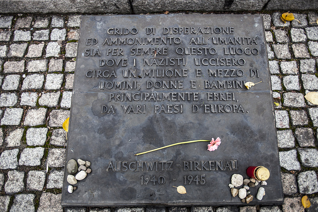 Auschwitz Birkenau-10