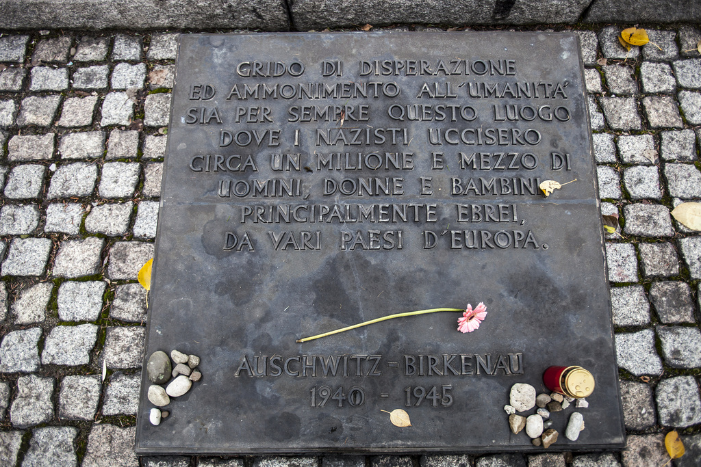 Auschwitz Birkenau-10