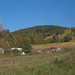 Fränkischer Herbst
