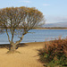 Kenfig Pool