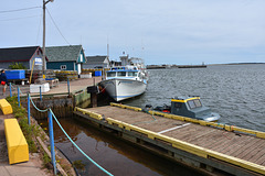 Der Zaun in Charlottetown