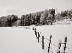 Zaun im Schnee