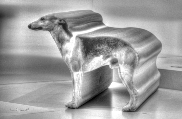 Whippet Bench