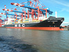 MSC Cordoba