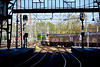 Goods train passing through Haarlem