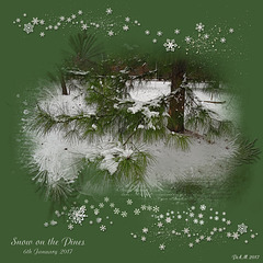 Yuletide Blessings ! ~ Snow On The Pines Jan 6th 2017