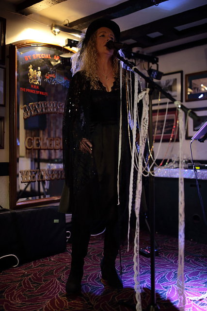 EOS 6D Peter Harriman 21 05 03 08580 StevieNicks unproc