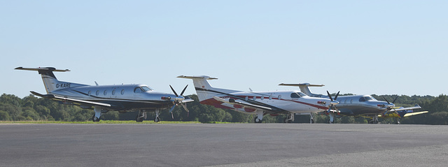 Pilatus Trio at Fairoaks - 14 September 2019