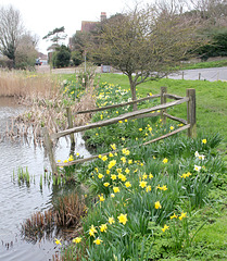 East Blatchington Pond - 9th March 2020