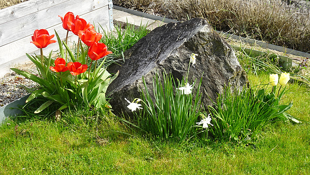 Im Garten beginnt das Leben