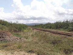 Ferrocarril