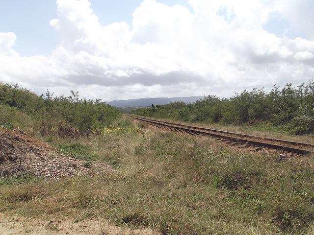 Ferrocarril