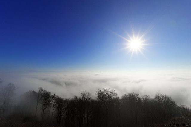 30.12.2015 auf dem Uetliberg (© Buelipix)