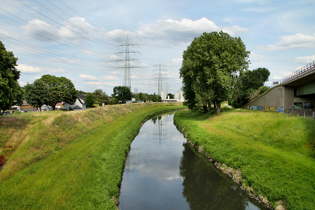 Emscher bei Ebel (Bottrop) / 9.06.2019