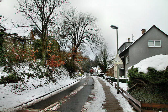 Im Lichtenbruch (Hattingen-Bredenscheid) / 24.01.2021