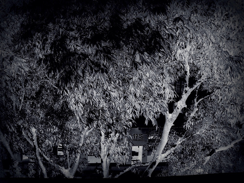 L’ambiguïté en manteau noir, la nuit fait peur, la nuit rassure