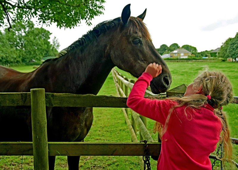 Meeting a friend.