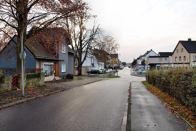 Südfeld (Kamen-Heeren-Werve) / 25.11.2017